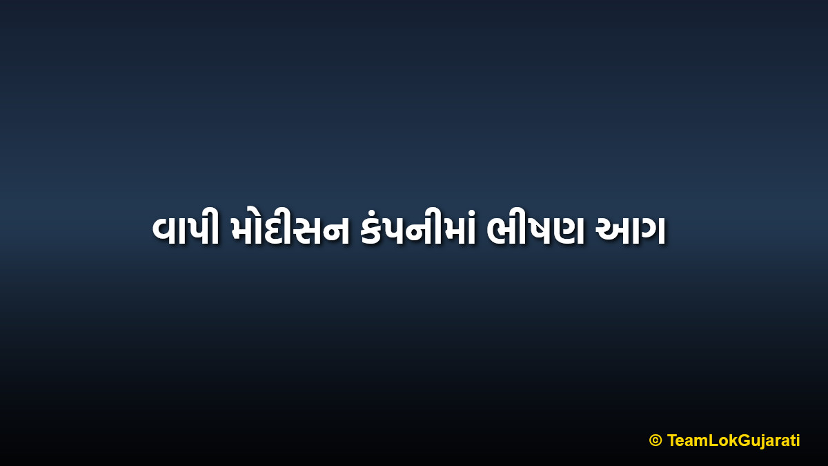 વાપી મોદીસન કંપનીમાં ભીષણ આગ | Vapi Modison Company Fire incident