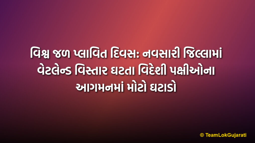 વિશ્વ જળ પ્લાવિત દિવસ: નવસારી જિલ્લામાં વેટલેન્ડ વિસ્તાર ઘટતા વિદેશી પક્ષીઓના આગમનમાં મોટો ઘટાડો | World Wetlands Day: Declining Wetland Areas In Navsari District Affecting Migratory Birds